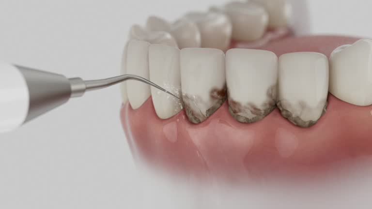 Reliable Dental contractor in North Industry, OH by Dentist Open Now
